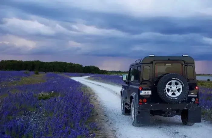  black suv in between purple flower fields small convert